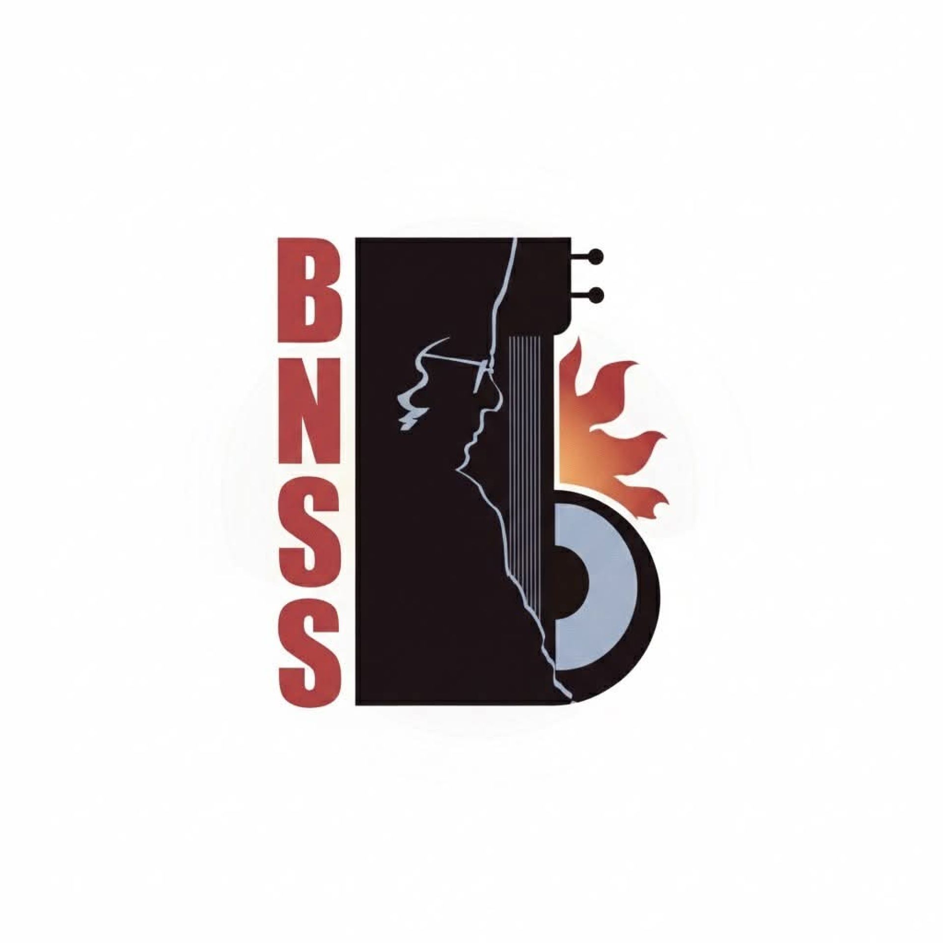BNSS